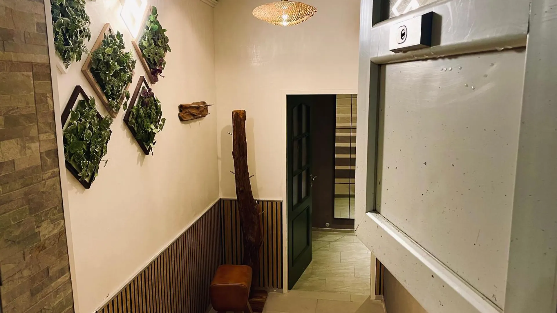 Apartament Bahira Schoenbrunn Viena